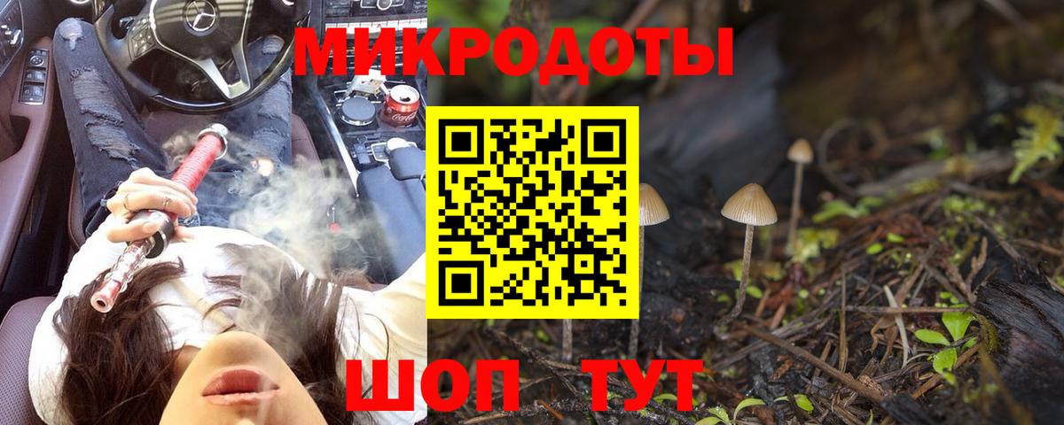 Галлюциногенные грибы GOLDEN TEACHER  Вход с VPN  Вичуга 